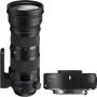  Sigma (Nikon) 150-600mm f/5-6.3 DG OS HSM Contemp + TC-1401