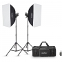  Godox MS300V-F   30284