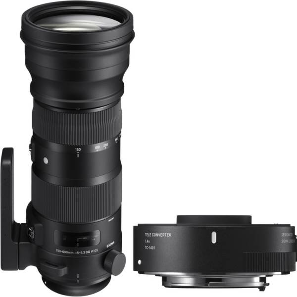  Sigma (Canon) 150-600mm f/5-6.3 DG OS HSM Sports + TC-1401