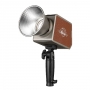   Falcon Eyes Retro 100B 100 Bi-color 2700- 6