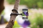 Штатив + держатель GripTight GorillaPod Stand для iPhone,Galaxy,смарт