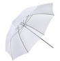  Fancier 84  FAN606 (33") 