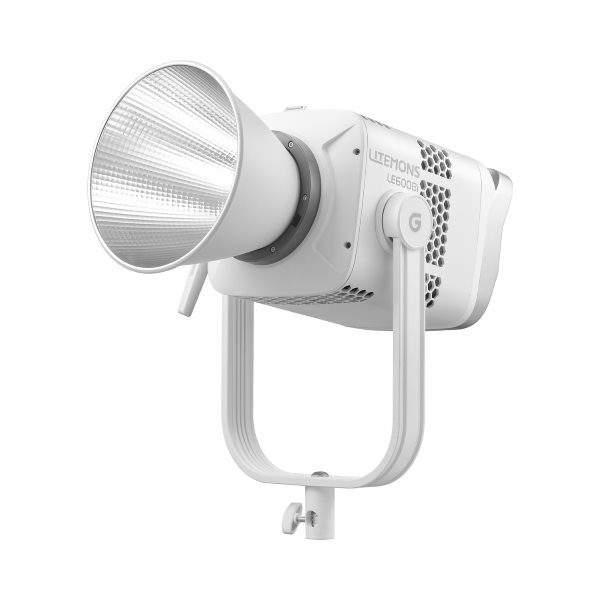 ������������ ���������� Godox LITEMONS LE600Bi 610�� 2800-6500�