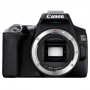  Canon EOS 250D Body 