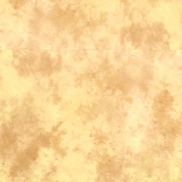 Фон тканевый Lastolite LB7554 3x3,5м Arizona Ezycare