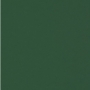 ��� �������� FST 2,72�11� DARK GREEN 1006 ������ ������