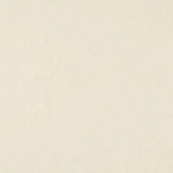 Фон бумажный FST 2,72х11м CREAM 1039 цвет шампанского