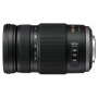 Panasonic Lumix H-FS100300E 100-300 mm (H-FS100300E)
