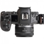  Canon EOS R Kit RF 50mm f/1.8 STM