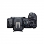  Canon EOS R6 mark II Body