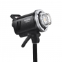  Godox MS300V-F   30284