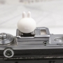     Fotokvant PRZ-020  Cony