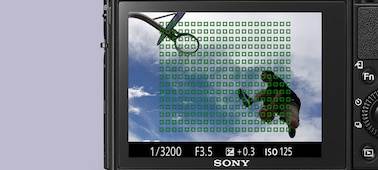 Sony Cyber-shot DSC-RX100M5A 