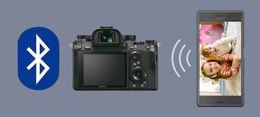  Sony A9 (ILCE-9) 